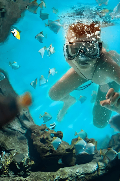 Catalina Island Full-Day Snorkeling + Lunch From Punta Cana - Lunch and Activities