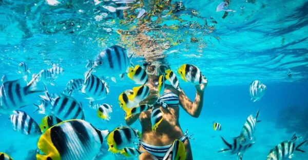 Catalina Island Full-Day Snorkeling + Lunch From Punta Cana - Frequently Asked Questions