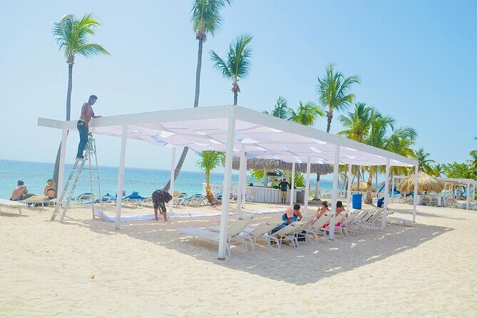 Catalina Island Full Day Snorkeling Tour - The Sum Up