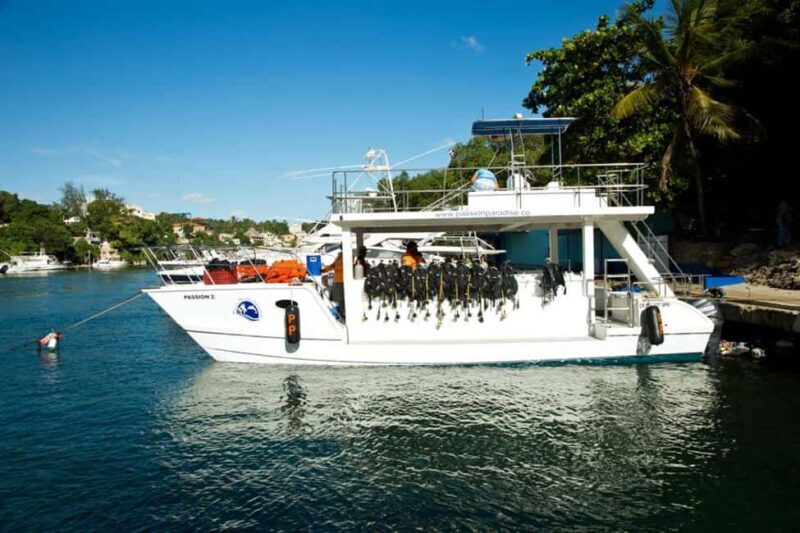 Catalina Island Scuba Diving Tour from Punta Cana - The Bottom Line: Who Should Book This Tour?