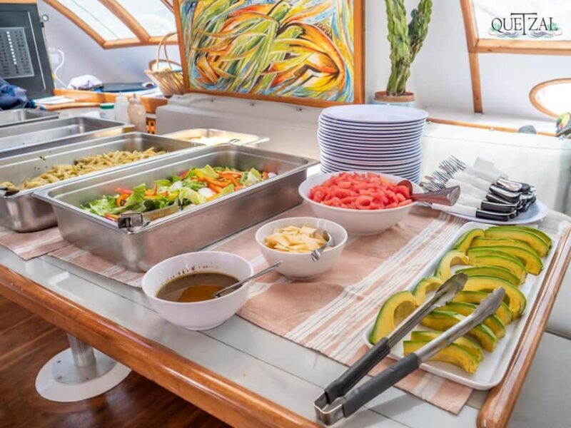 Catalina Island small group snorkeling tour - Who Should Book This Tour?