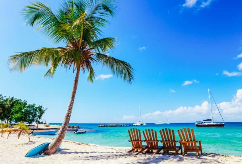 Catalina Island snorkeling Dominican Republic - The Itinerary in Detail: What You Can Expect