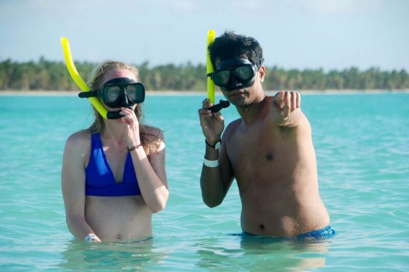 Catalina Island snorkeling Dominican Republic - Authentic Reviews and Traveler Insights