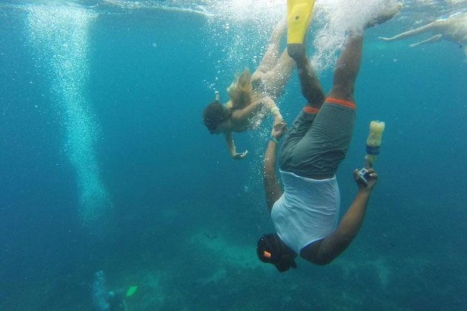 Catalina Island & Snorkeling Full-day Trip - Trip Details