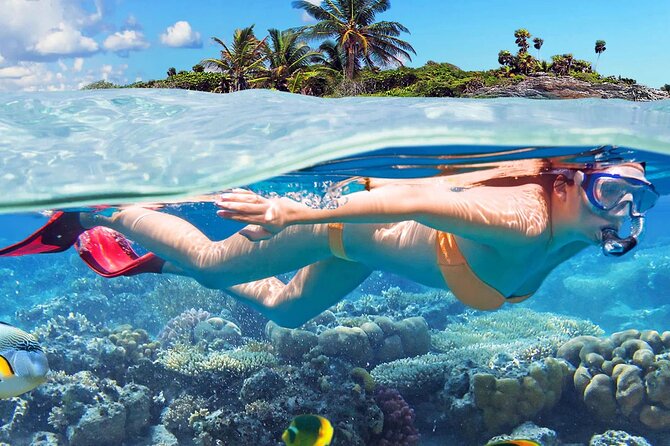 Catalina Island & Snorkeling Tour - Tour Highlights