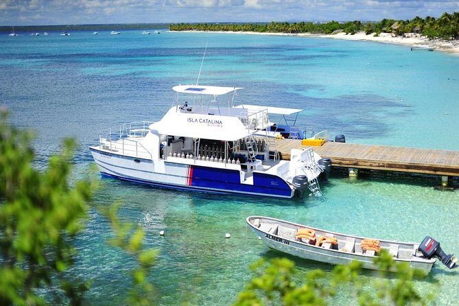 Catalina Island & Snorkeling Tour - Good To Know
