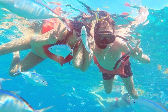 Catalina Island & Snorkeling Tour - Final Thoughts: Is This Tour Worth It?