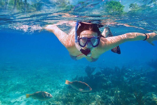 Catalina Island & Snorkeling Tour - FAQ