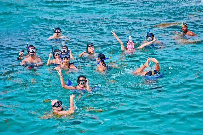 Catalina Island & Snorkling Tour Full Day All Inclusive - Tour Overview