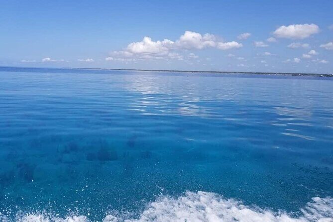 Catalina Island Tour Snorkel Beach Dominican Lunch - The Sum Up