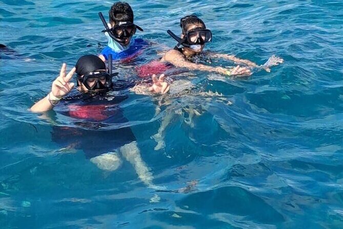 Catalina Island Tour with Lunch and Transportation Included - Transportation & Group Size