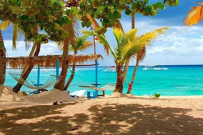 Catalina Island Tour with Lunch and Transportation Included - Who This Tour Is Best For