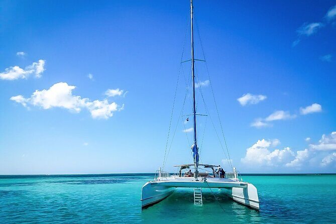 Catalina Island Tour with Lunch and Transportation Included - The Sum Up