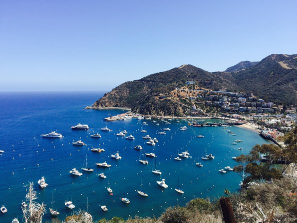 Catalina Island W/Discover Avalon Scenic Tour & Hotel Transfers - Guided Tour of Avalon