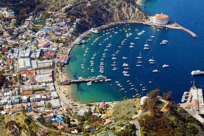 Catalina Island W/Discover Avalon Scenic Tour & Hotel Transfers - Hotel Pick-Up and Drop-Off Included