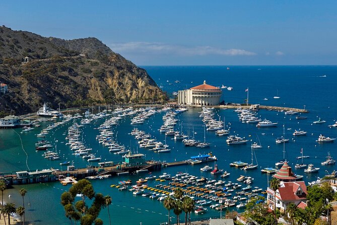 Catalina Island W/Discover Avalon Scenic Tour & Hotel Transfers - Traveler Reviews and Highlights of Catalina Island