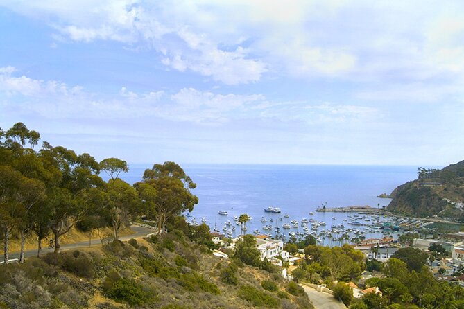 Catalina Island W/Discover Avalon Scenic Tour & Hotel Transfers - Common Questions