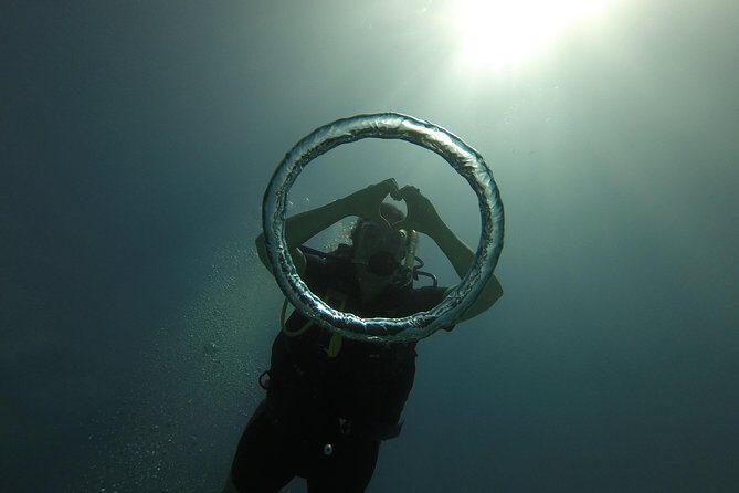 Catalina Island With Scuba Diving - Amazing Full Day Tour Activity - Who Will Love This Tour?