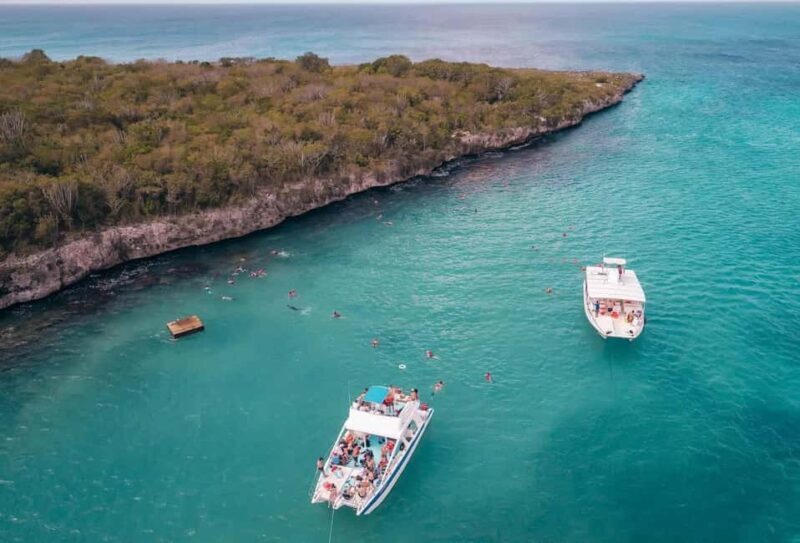 Catalina Island with Snorkel, Open Bar and Lunch - Why This Tour Is a Great Choice