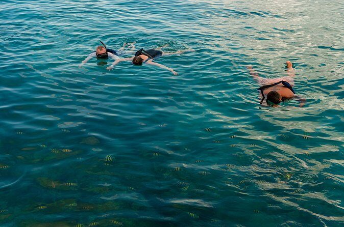 Catalina Sailing Experience in Punta Cana with Food and Drinks - Analyzing the Price and Overall Value