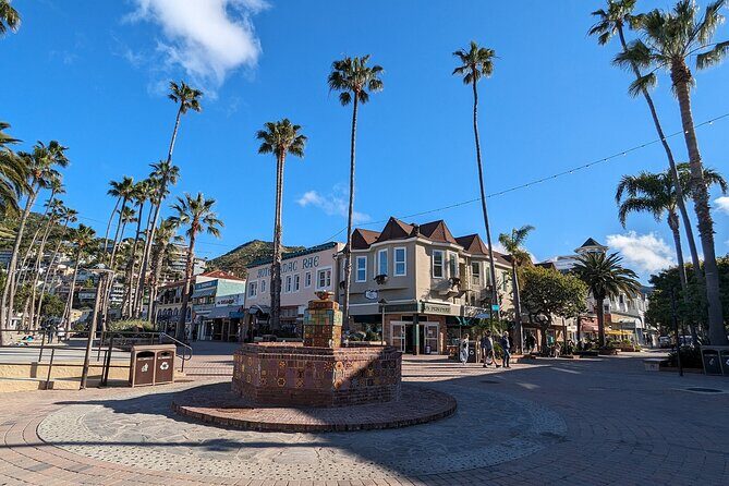 Catalina Scavenger Hunt Walking Tour and Game - Good To Know