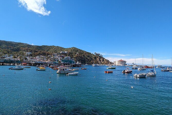 Catalina Scavenger Hunt Walking Tour and Game - An In-Depth Look at the Catalina Scavenger Hunt Experience