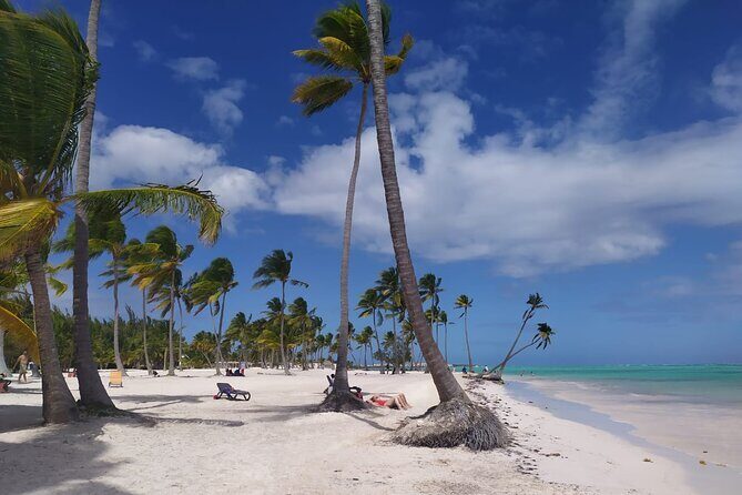 Catalina Snorkeling Wall and Altos Chavon Tour - What Travelers Should Know