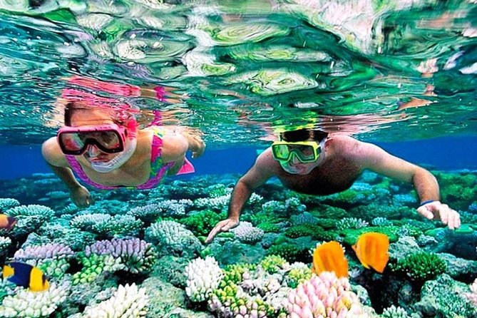 Catamaran Adventure to Isla Mujeres With Snorkel,Buffet,Open Bar and Beach Club - Cancellation Policy