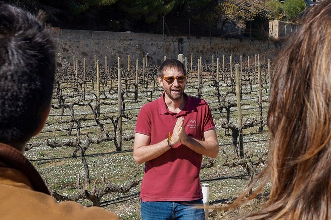 Catamaran, Alella Winery & Ecological Wine Tasting From Barcelona - Booking and Pricing Information