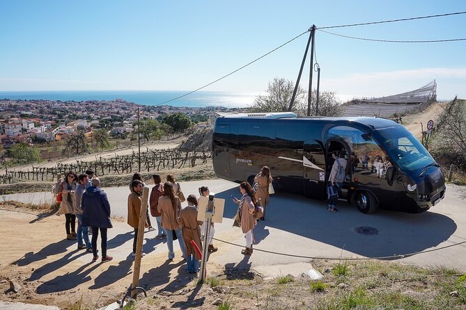 Catamaran, Alella Winery & Ecological Wine Tasting From Barcelona - The Sum Up