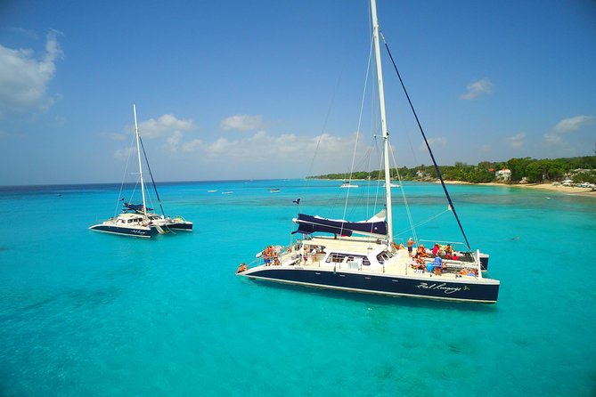 Catamaran and Snorkeling Cruise At Carlisle Bay - Catamaran Cruise Details