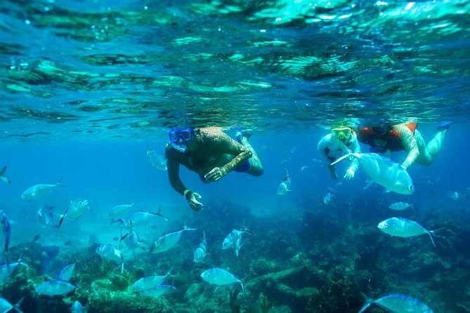 Catamaran Booze Cruise And Snorkeling Punta Cana - Inclusions