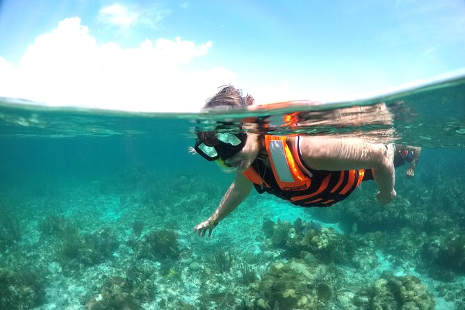 Catamaran Cancun to Isla Mujeres - The Sum Up