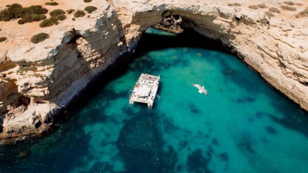 Catamaran Cruise: Caves and Coastline to Benagil - Common Questions