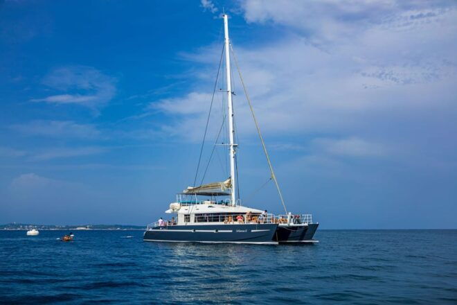 Catamaran Cruise From Cannes - Activities Included