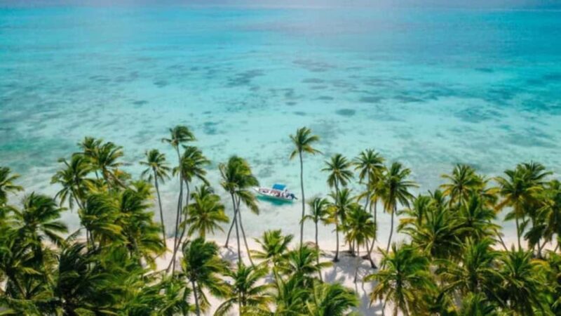 Catamaran Cruise on Saona Island with Lunch and Drinks - Good To Know