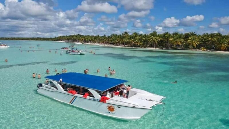 Catamaran Cruise on Saona Island with Lunch and Drinks - Transportation, Duration, and Group Size