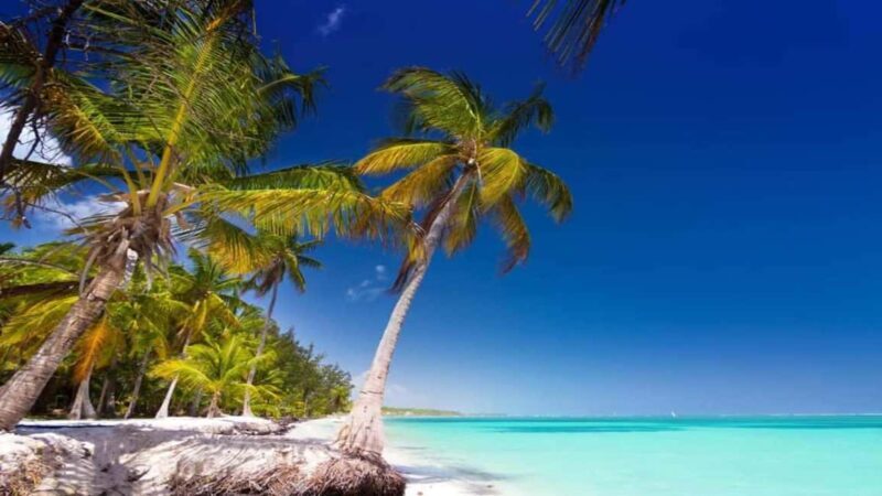 Catamaran Cruise on Saona Island with Lunch and Drinks - Final Thoughts: Is It Worth It?