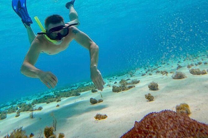 Catamaran Cruise to Cozumel Reefs + Water Park Fun - Frequently Asked Questions