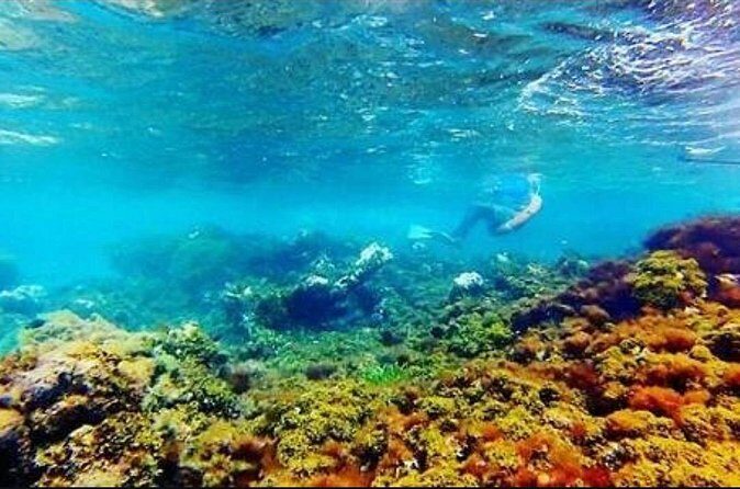 Catamaran Cruise with Dunns River Falls from Montego Bay - The Itinerary Breakdown: What You Can Expect