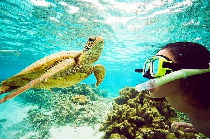 Catamaran cruise with Dunn's River falls from Ocho Rios - FAQ