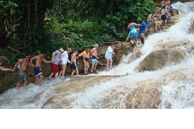 Catamaran Cruise With Snorkeling and Dunns River Falls  - Runaway Bay - Cancellation Policy