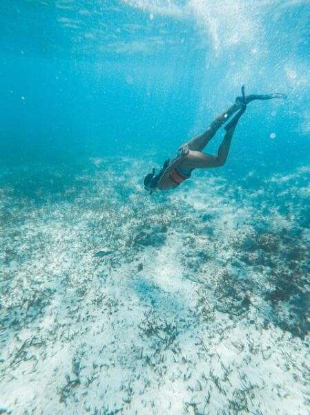 Catamaran Deluxe to Isla Mujeres From Cancun for the Less - Frequently Asked Questions