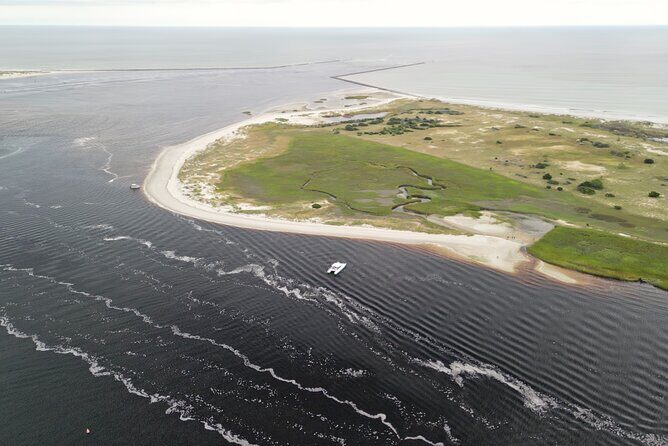 Catamaran Dolphin Cruise in Myrtle Beach with Barrier Island Stop - Practical Details: What You Need to Know