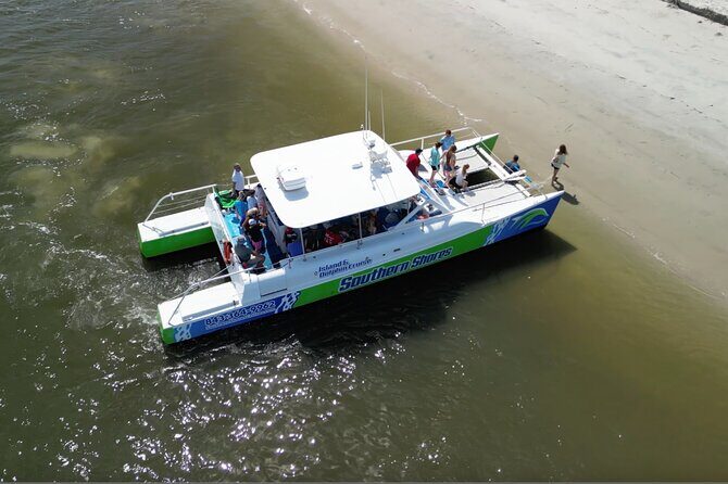Catamaran Dolphin Cruise in Myrtle Beach with Barrier Island Stop - The Review from Guests: Authentic Perspectives