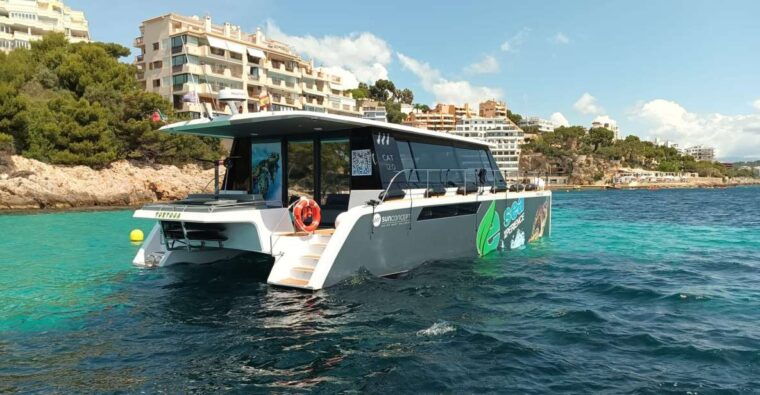 CATAMARAN ECO EXPERIENCE at Palma Bay - Meeting Point and Essentials
