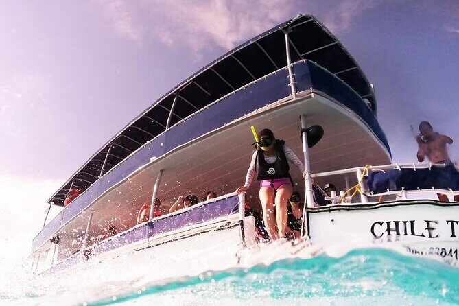 Catamaran Excursion + Open bar + Snorkeling at El Cielo - Authentic Experiences and Highlights from Others