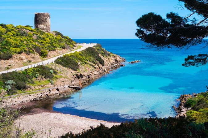 Catamaran Excursions in the Asinara Island National Park - Overview of Asinara Island National Park