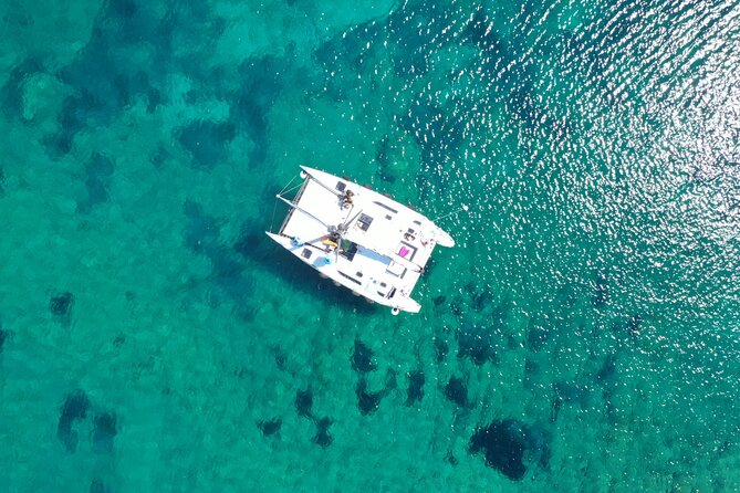 Catamaran Excursions in the Asinara Island National Park - Catamaran Adventure Details