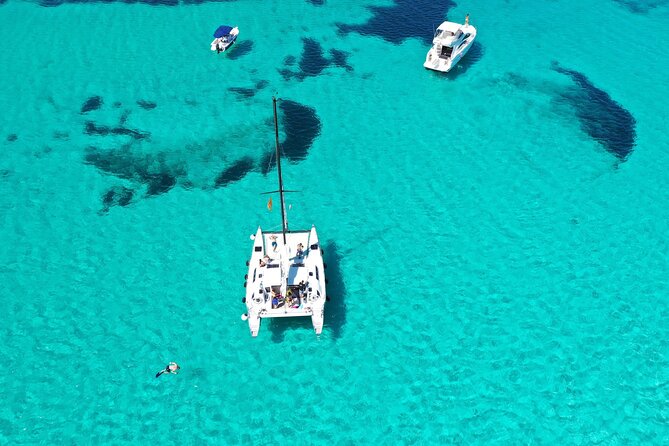 Catamaran Excursions in the Asinara Island National Park - Reviews and Ratings of the Catamaran Excursion